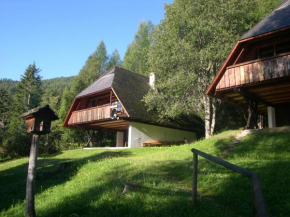 Ferienhäuser Brunnleiten, Bad Kleinkirchheim, Österreich